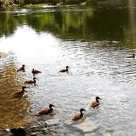 Flora&fauna Feriehus Bihać