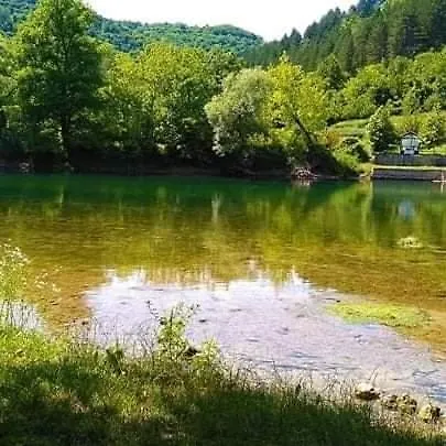 Semesterbostad Flora&fauna