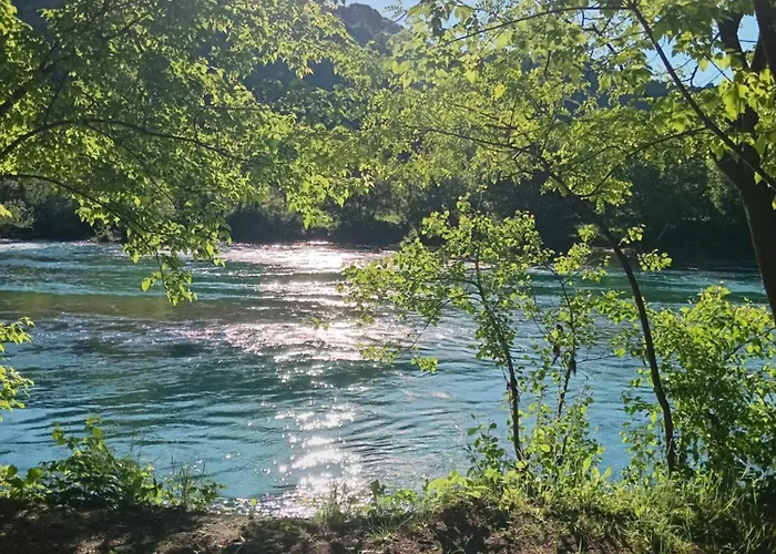 Semesterbostad Flora&fauna *